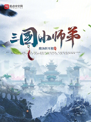 三国小师弟起点