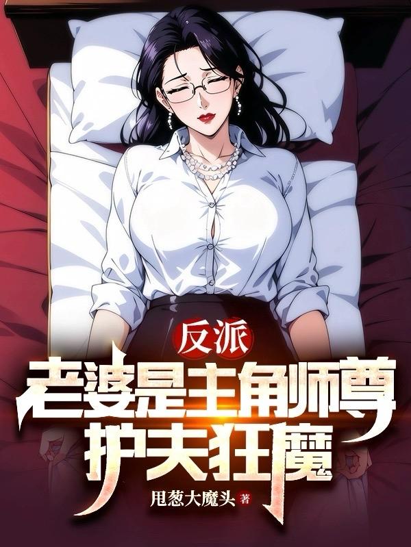 主角是反派老婆是警察的小说