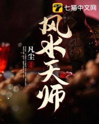 风水大师1-80集视频