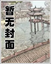 将军箭电视剧