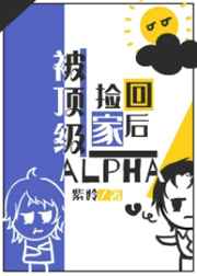 被顶级alpha捡回家之后txt下载