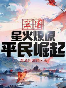 三国平民崛起的小说