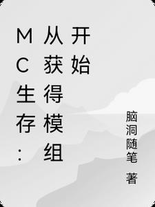 mc生存模式资源获取