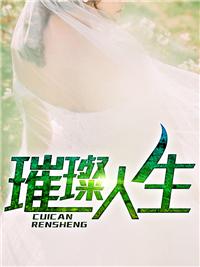 上门女婿叶辰小说免费正版