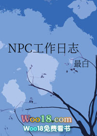 npc工作体验分享