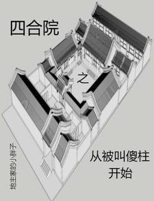 四合院:从傻柱他爹开始